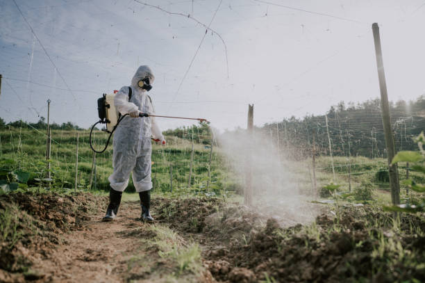 Best Mosquito Control Services  in Brazoria, TX