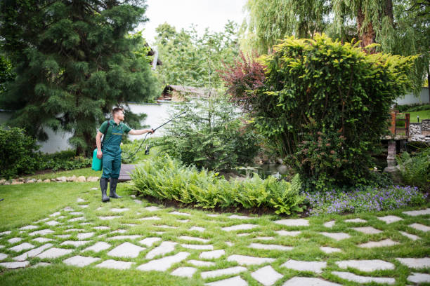 Best Pest Inspection Near Me  in Brazoria, TX