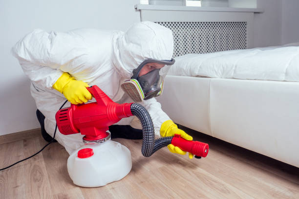 Best Flea Control Services  in Brazoria, TX